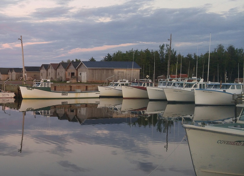 boats